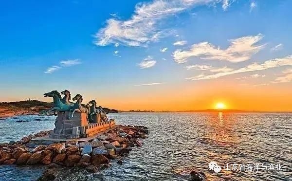 海什因长与十二生肖，探寻神秘关联与SEO优化策略，海什因与十二生肖的神秘联系及SEO优化策略探索