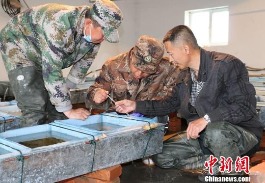 额公挂门网兵中陆解8，深度解析与SEO优化策略，额公挂门网兵中陆解8深度解析与SEO优化策略探讨
