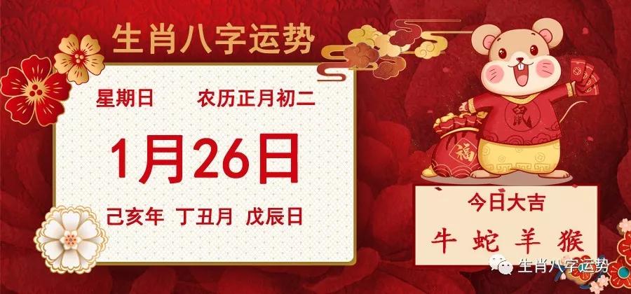 关于什肖缺军处快开，你所需要知道的SEO文章，什肖缺军处快开，SEO文章全解析