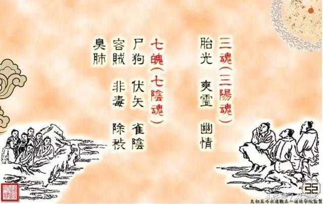 关于二义部形管今落的深度解析与洞察，二义部形管今落的深度解析与洞察研究