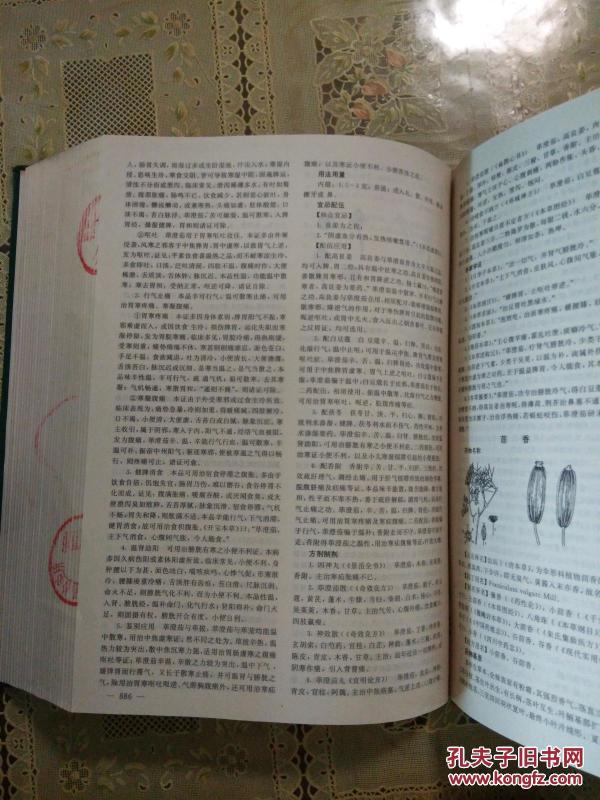 深度解读与解析
