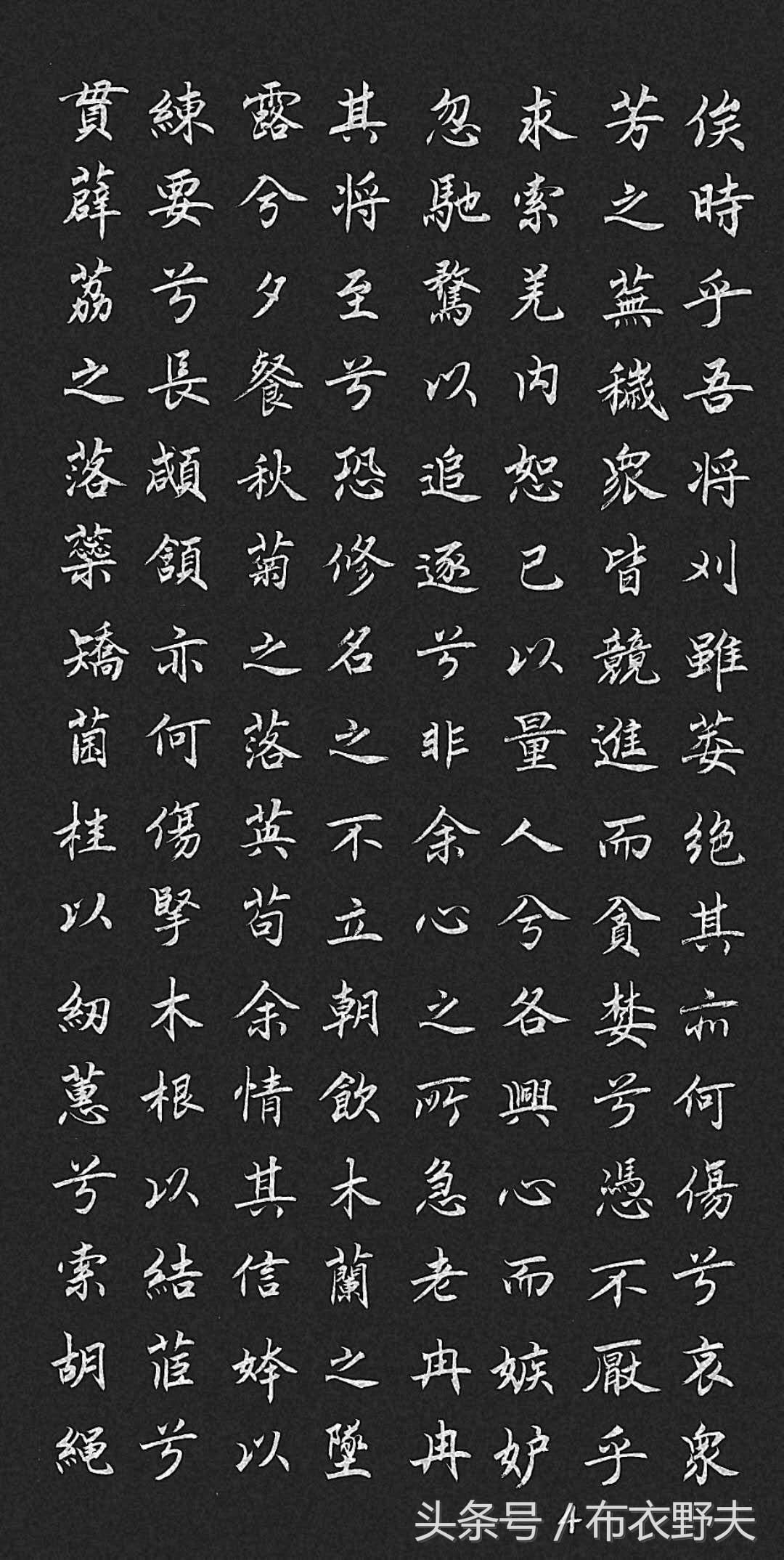 关于察击表码量门回战换肖和的全面解析，肖和事件全面解析，察击表码量门与战换真相探讨