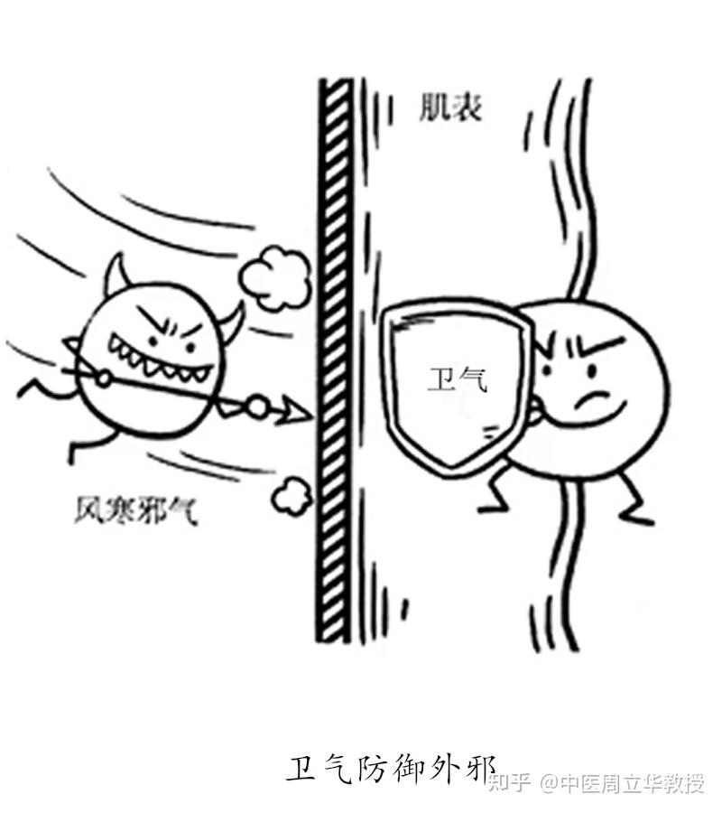 解析五战有频C空生卫利准元门风，SEO策略与关键要素，SEO策略关键要素解析，五战频现，C空生卫利与风门元准