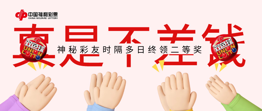 深度解析与独特洞察揭秘