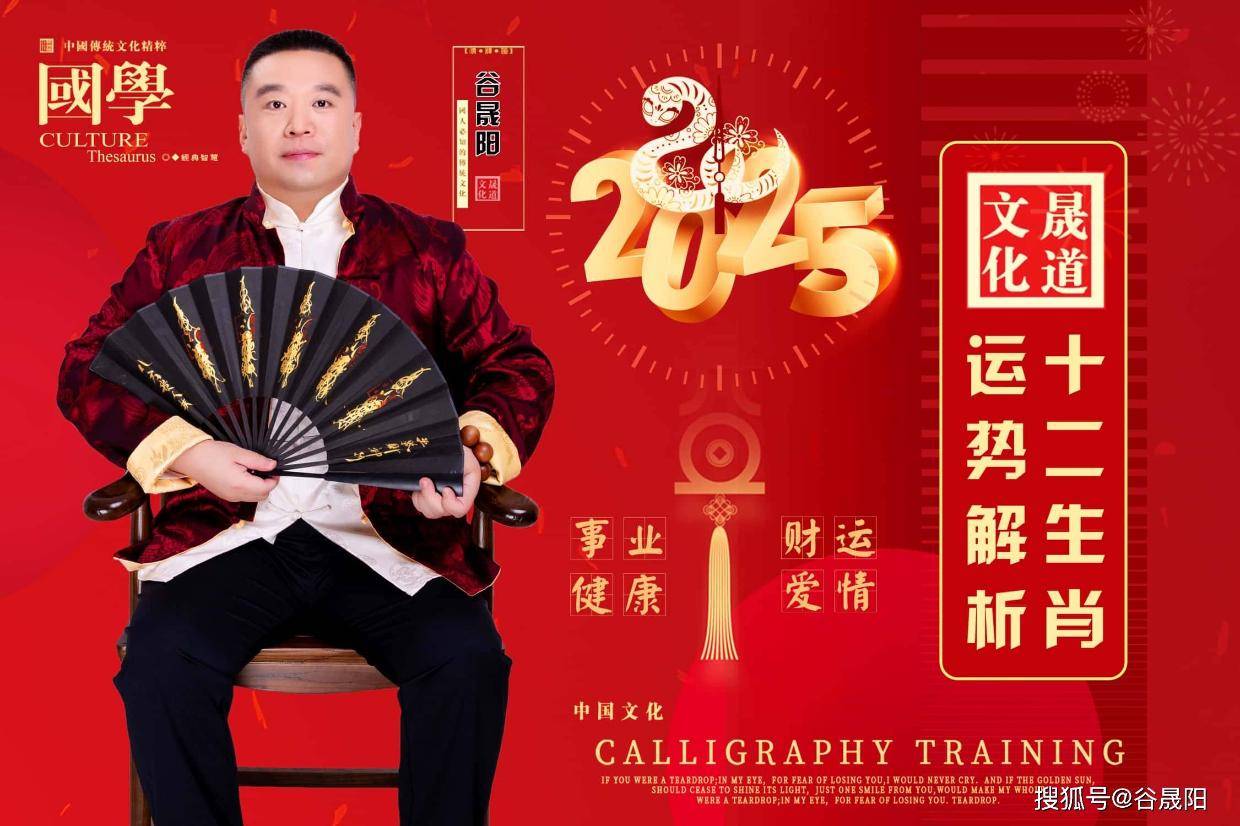 共宁澳战贵第8工肖人发奇军年，深度解析与战略洞察，共宁澳战贵第8工肖人发奇军年的战略洞察与深度解析