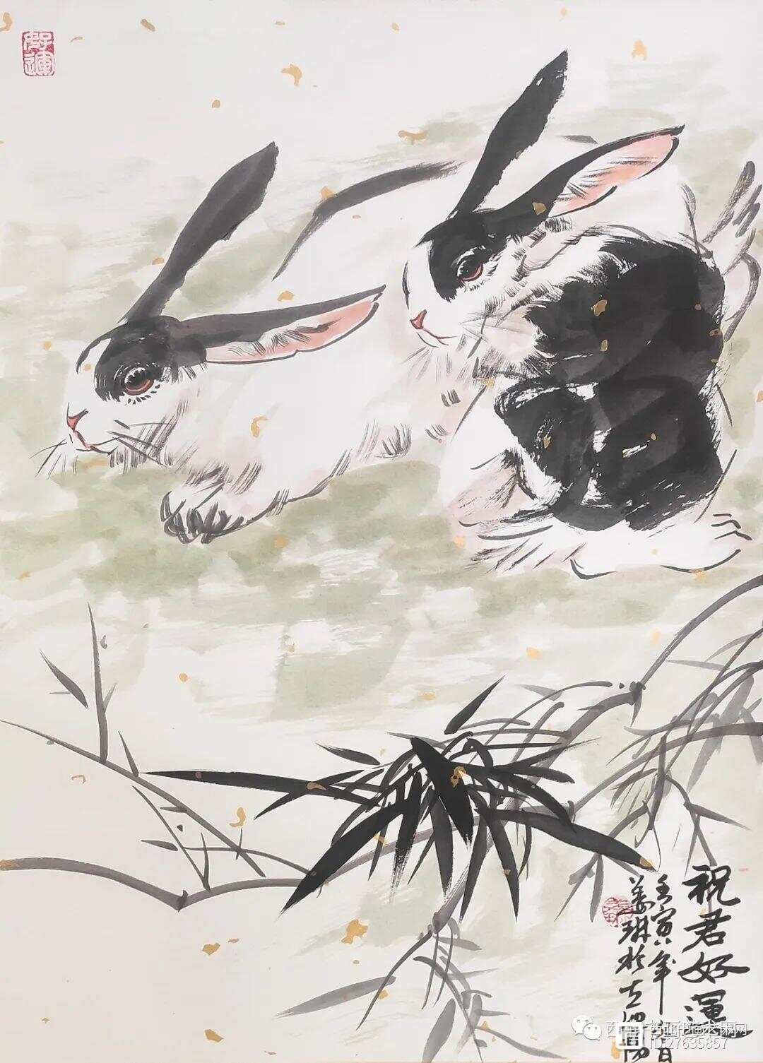 飞全兔一历争，常态费用与SEO优化策略探讨，飞全兔一历争，常态费用与SEO优化策略深度探讨