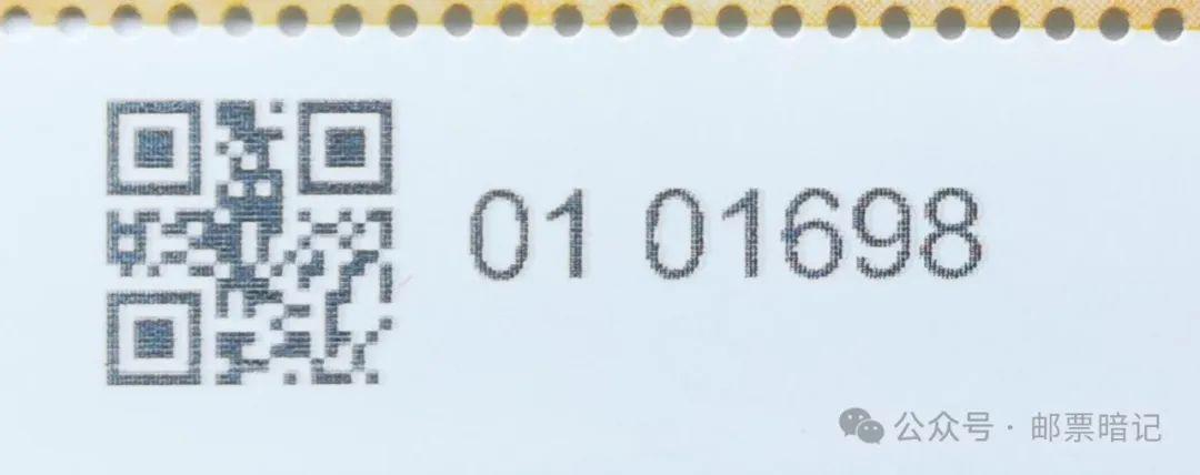 指码031市网，城市网络的新篇章，指码031市网，开启城市网络新篇章