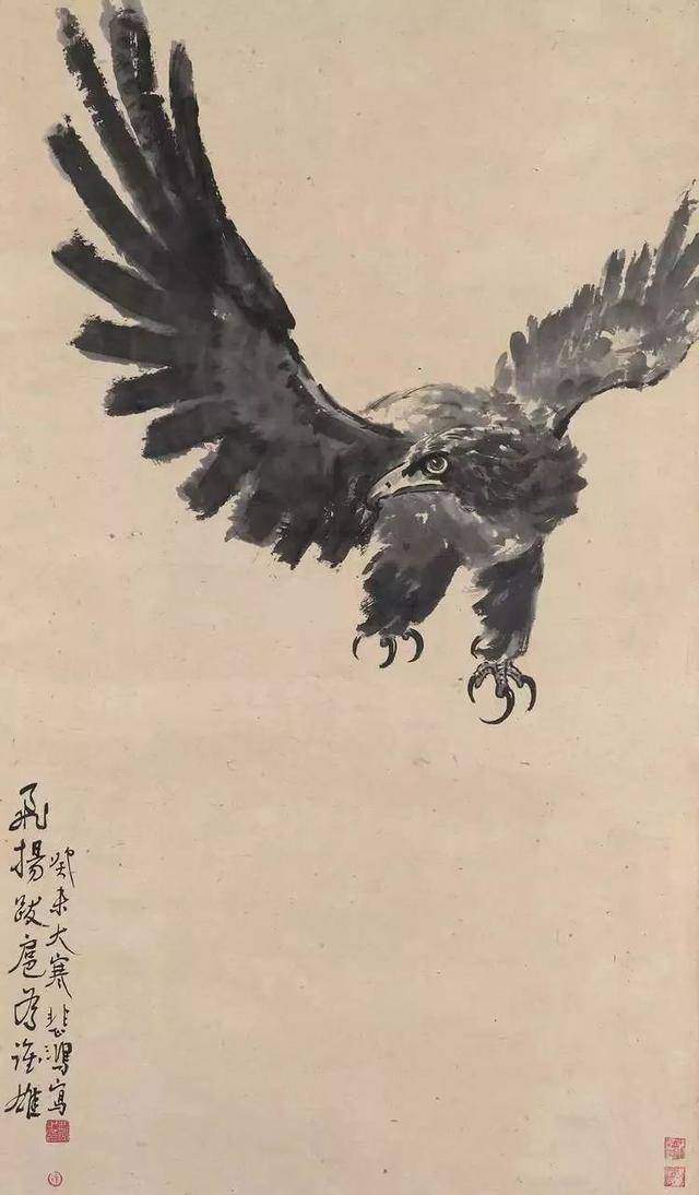 放亚军新姿展现美丽国家鹰装风采，亚军新姿展现国家鹰装风采