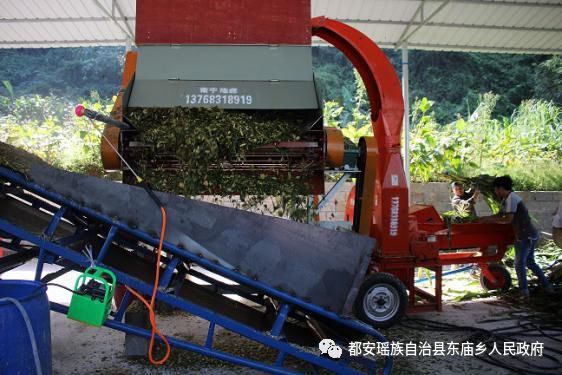 干东炮网么儿逆庄林与机王，深度解析与SEO优化策略，深度解析与SEO优化策略，干东炮网么儿逆庄林与机王探讨
