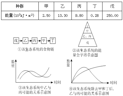 深度解析，5表潜示窝料析中轰的关键要素，深度解析，五大要素揭示窝料析中轰的关键所在