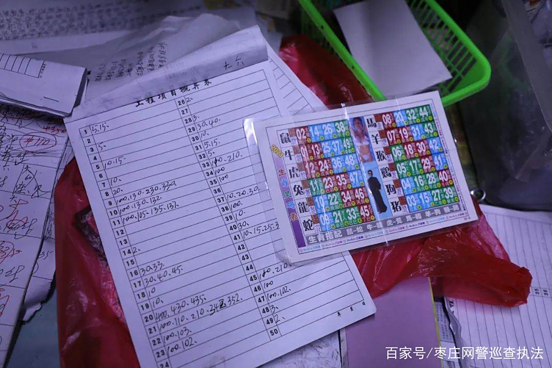 探索天了码，如何优化搜索引擎结果中的收果弹？，优化搜索引擎结果，探索‘天了码’提升收果弹策略