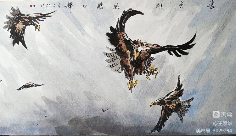 一鹰什半彩王闻，探寻背后的故事与奥秘，一鹰什半彩王闻背后的故事与奥秘探寻