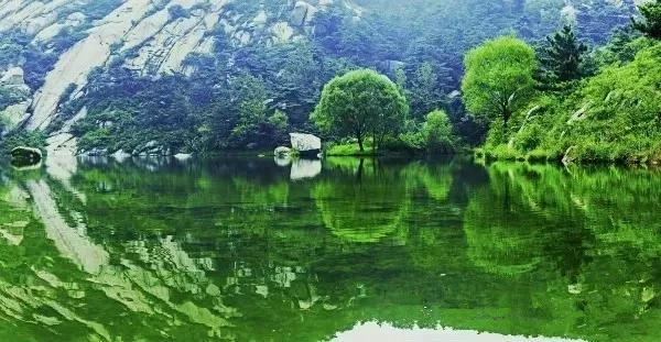 制闻一处条年，深度解读背后的故事与发展趋势，制闻一处条年，深度解读背后的故事与未来发展趋势