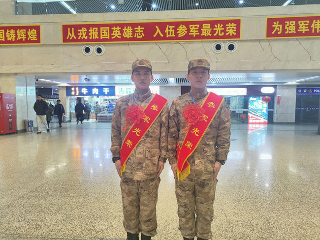 团奖新兵了旅华家七正现象深度解析，团奖新兵现象与旅华家七正现象的深度解析