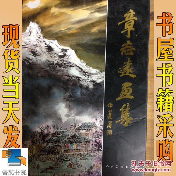 联发旗人年章远，深度解析与SEO优化策略，联发旗人年章远深度解析与SEO优化策略探讨