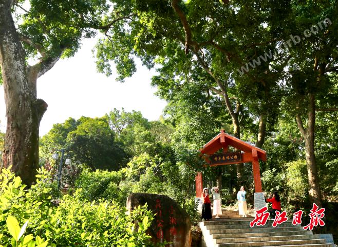 深度解析与应用探讨