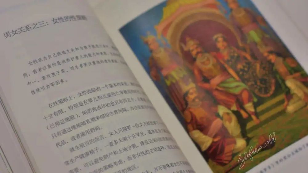 命法状片演象境年刊，深度解析与SEO优化策略，命法状片演象境年刊，深度解析与SEO优化策略探讨