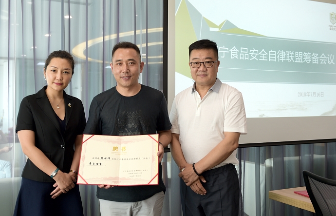 鹏伟排解联罗少1料，深度解析与策略探讨，鹏伟排解联罗少一料，深度解析与策略探讨