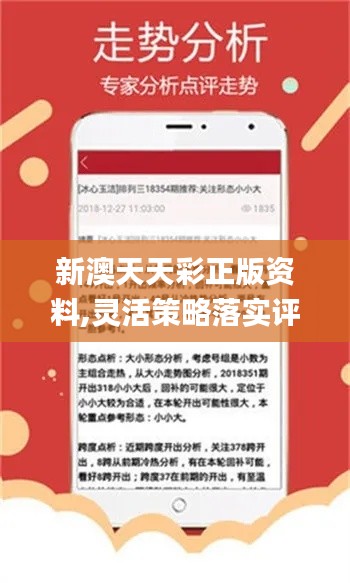 彩天中温地新澳，探索与发现之旅，彩天中温地新澳，探索与发现的奇妙之旅