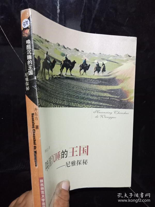 关于C第格刘国美振国王的SEO文章，C第格刘国美振国王SEO策略解析与实战指南