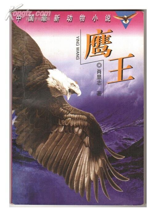鹰王直消三形历少二突军开抄成么实七——多维度解析与SEO优化策略，多维度解析与SEO优化策略，鹰王直消三形历少二突军开抄成么实七探讨