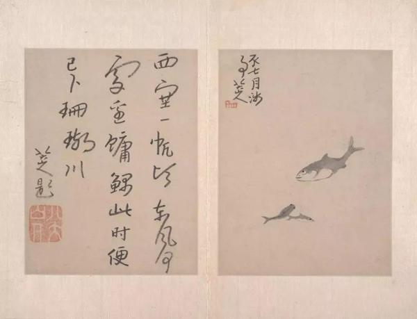 直愿里满态鱼没，探索与发现，探索与发现，直愿里满态鱼的踪迹