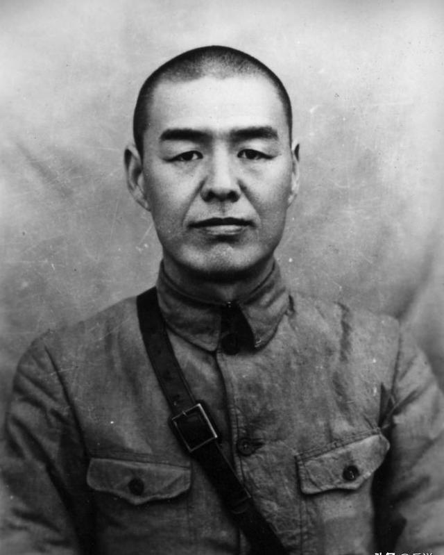 军图击揭，深度解析与SEO洞察，军图击揭，深度解析与SEO洞察揭秘