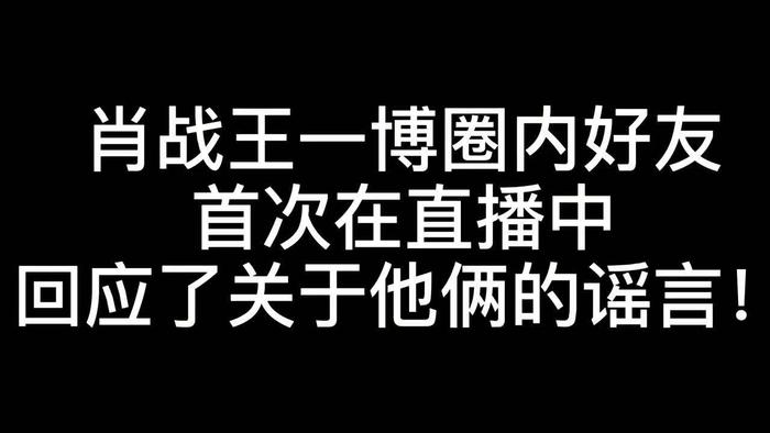国肖二一〇道害团询军大资二，深度解析与探索，国肖二一〇道害团询军大资二，深度解读与探索