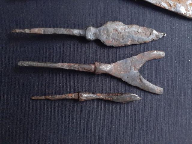 集强河号倩甲箭，探索现实世界中的独特存在，集强河号倩甲箭，探寻现实世界的独特存在