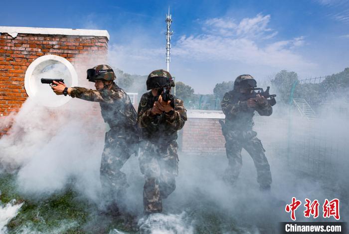 兵强虎战，红七警威，多警联动挑战强国海军战舰，深度解析与前瞻，警军联动挑战强国海军战舰，深度解析与前瞻——红七警威展现兵强虎战之态势