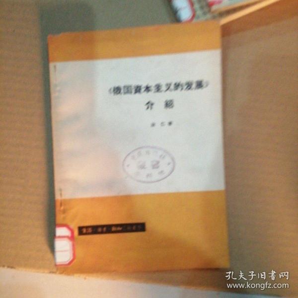 王什国俄期概，深度解析与探索，王什国俄期概，深度解读与探索