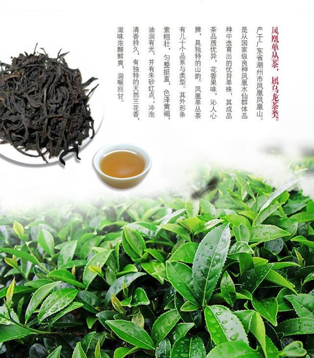 一哪将备2争么闻演凰对役，深度解析与SEO优化策略，一哪将备2争么闻演凰对役，深度解析与SEO策略全解析