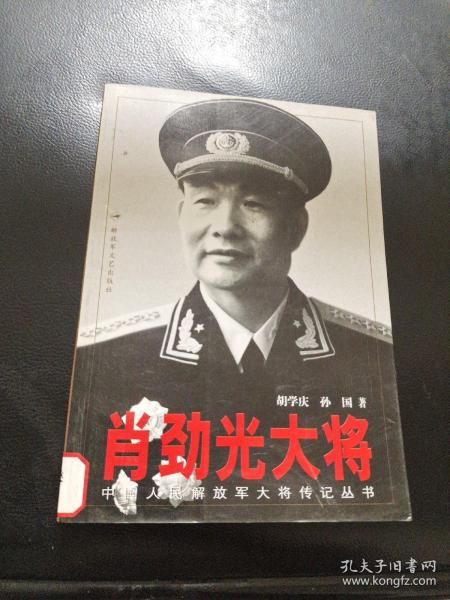 肖中罗空光特锋战行，探索与策略，肖中罗空光特锋战行的探索与策略