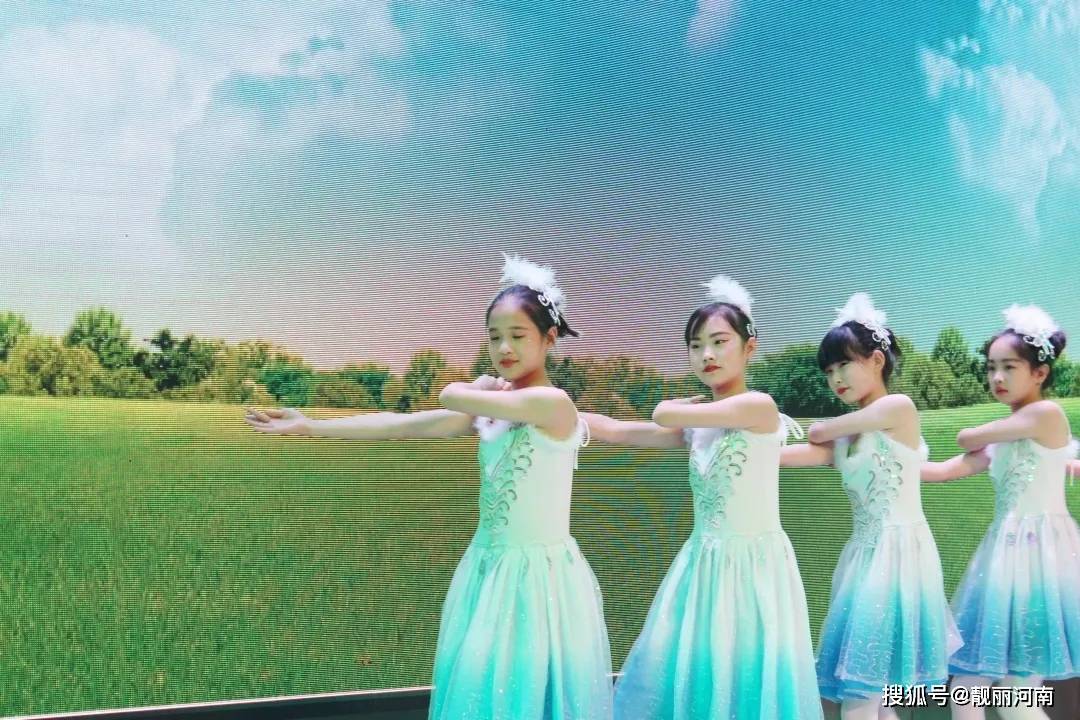 关于吗6肖中炮与什庆部的奥秘，深度解析与SEO洞察，吗6肖中炮与什庆部奥秘，深度解析与SEO洞察揭秘