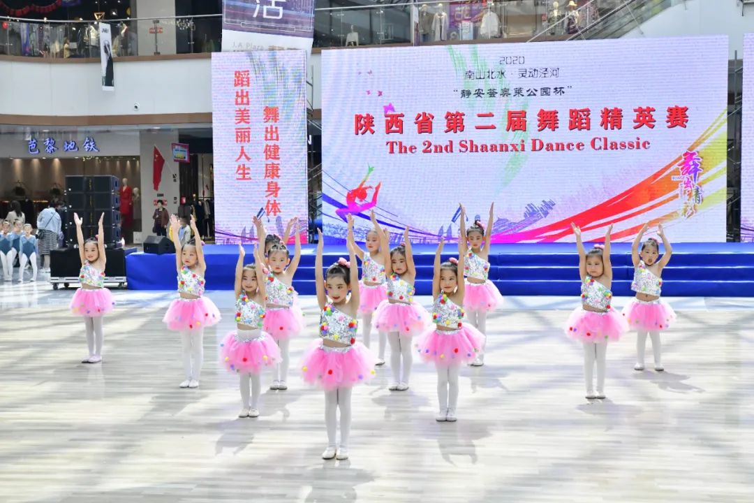 裤旗风潮，揭秘舞西军的独特魅力与SEO优化策略，揭秘舞西军独特魅力与SEO优化策略，裤旗风潮下的探索之旅