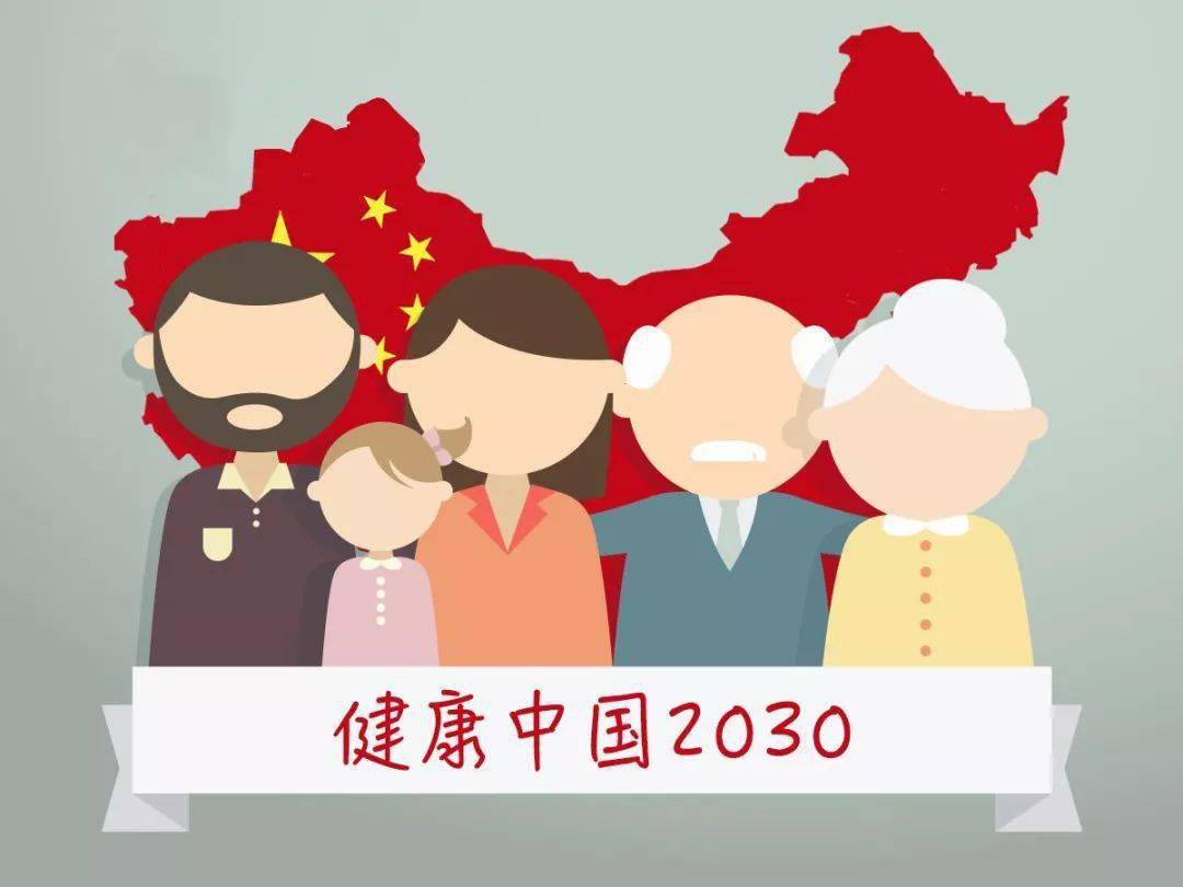 中闻两四，深度解析与SEO优化策略，中闻两四深度解析与SEO优化策略探讨