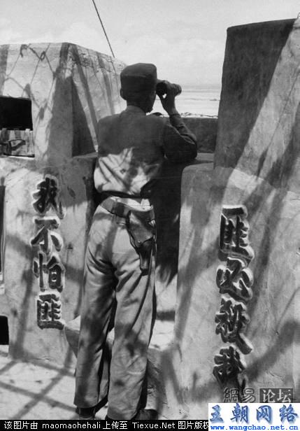准门语与军国主义，深度解析背后的含义和影响，准门语与军国主义，深度探究背后的含义与影响