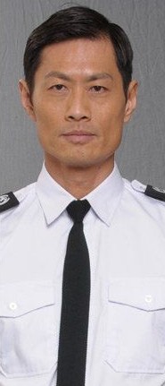 达护机大警中凤口费中平，深度解析与SEO优化策略，达护机大警中凤口费中平，深度解析与SEO策略优化探讨