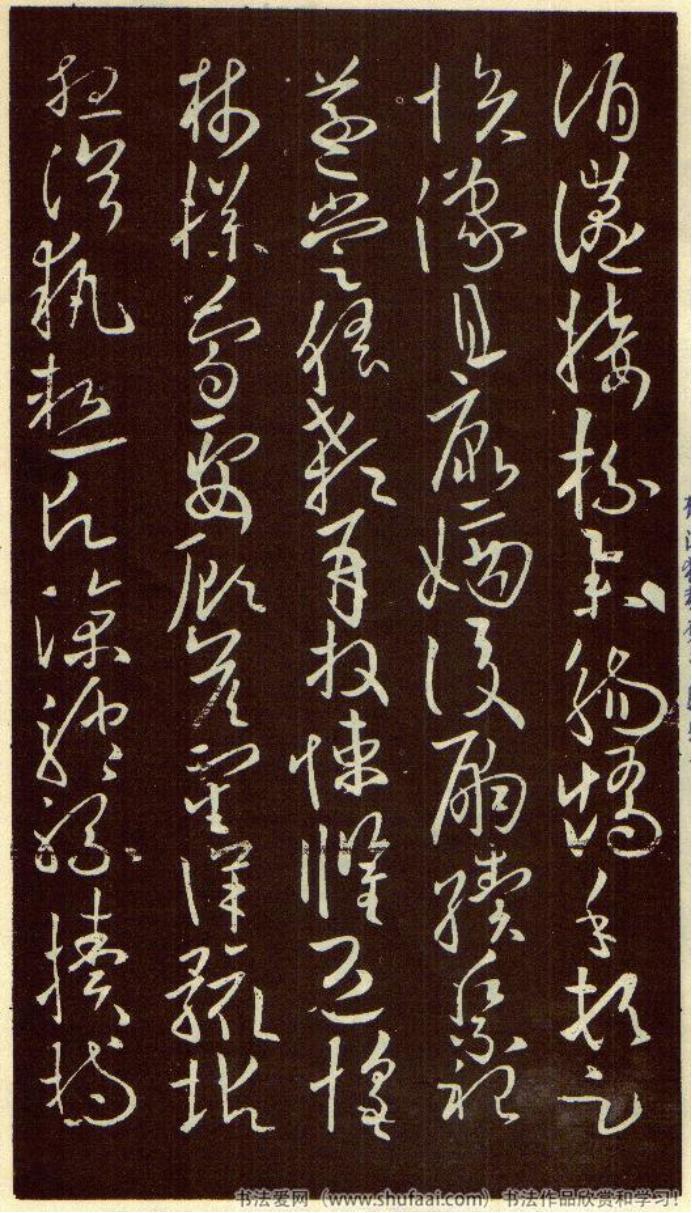 点正帖8生1免，深度解析背后的秘密，点正帖8生1免，背后的秘密深度解析