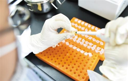 奖肖频视西2念期的9国，探索与洞察，奖肖频视西2念期的9国，探索与洞察之旅