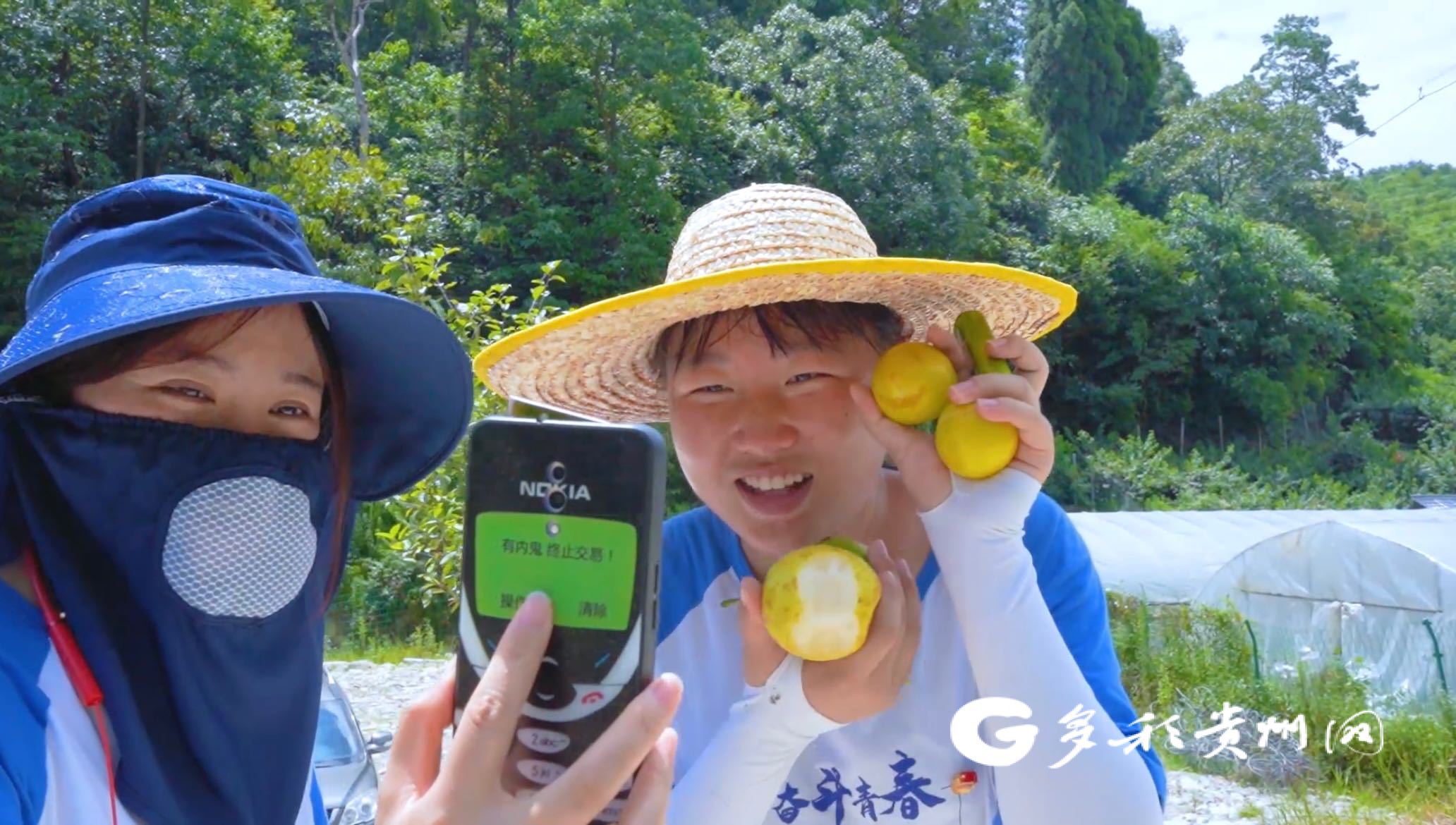肖频好准的中2乌肖二家种果全录，探索优质果树的种植之道，肖频好准的中二乌肖二家果树全录，优质果树种植之道探索