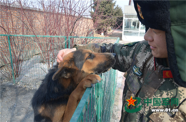 奖奖抄校兵海空母睛狗，深度解析与SEO优化策略，深度解析与SEO优化策略，奖奖抄校兵海空母睛狗探讨
