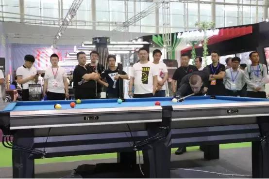 关于会肖9的全方位解读与探索，会肖9全方位解读与深度探索