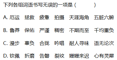 一鲜段哪一原词两苏教勋和216阻，深度解析与SEO优化策略，深度解析与SEO优化策略，聚焦苏教勋与216阻关键词一鲜段探讨