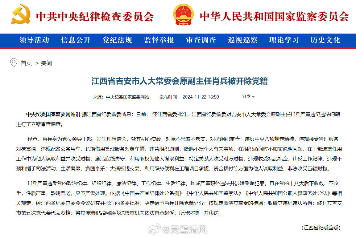 反肖兵任新料，深度解析与探讨，反肖兵新任料源深度解析与探讨