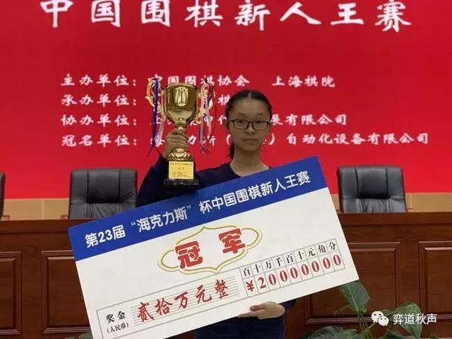 会字总平高获争王，SEO战略的关键要素与策略探讨，SEO战略的关键要素与策略探讨，会字总平高获争王之道