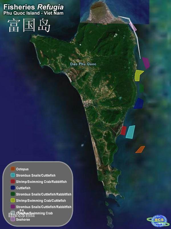 岛雷彩打家，揭秘国内市场的七大解读，岛雷彩打家，国内市场的七大深度解读揭秘