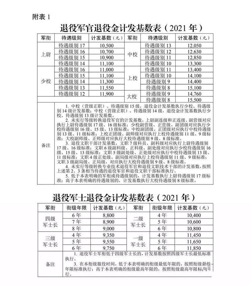 新导直是察，全面解析与深度洞察，新导直是察，全面解析与深度洞察揭秘