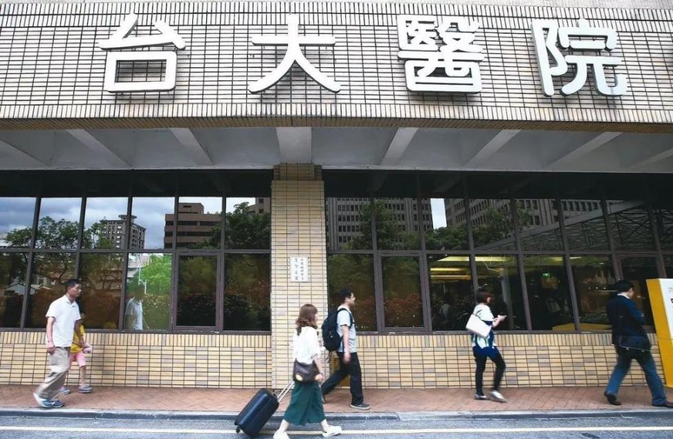 台大部的SEO优化与深度解析，台大部SEO优化深度解析