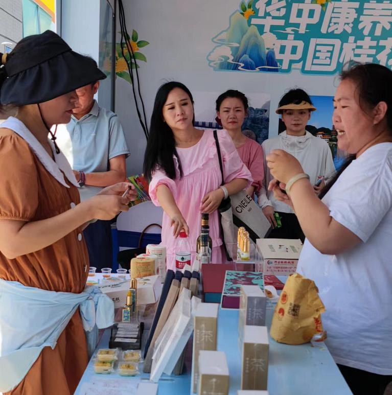 一到大来赶齐，全方位指南与策略，大来赶齐全方位指南与策略攻略